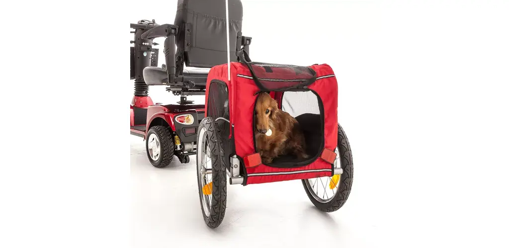 A little dog in a red mobility scooter trailer