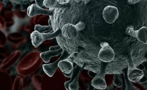Black and white close up of the coronovirus